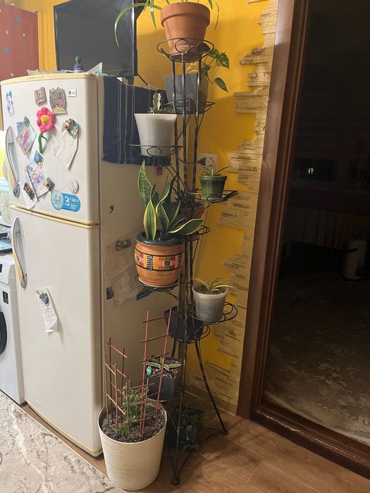 Підставки під квіти (3 шт)