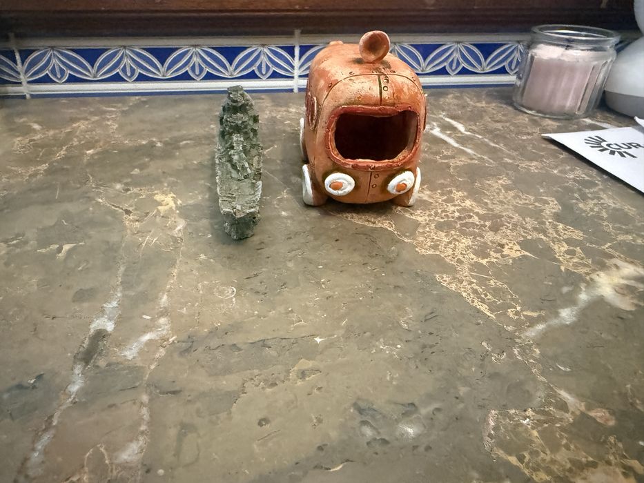 Aquário com acessórios