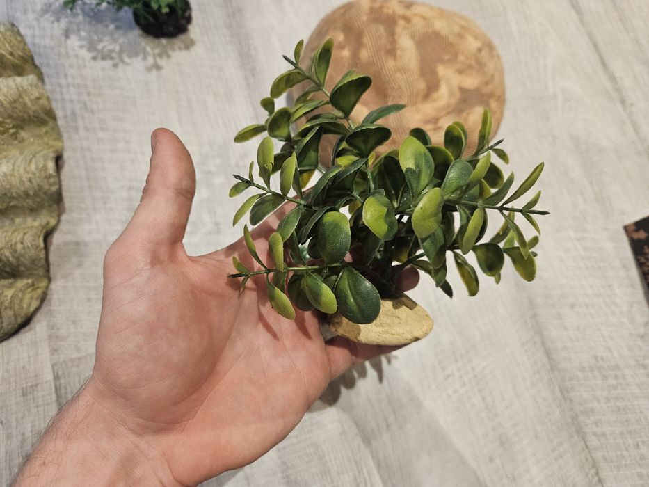 Dekoracje do terarium