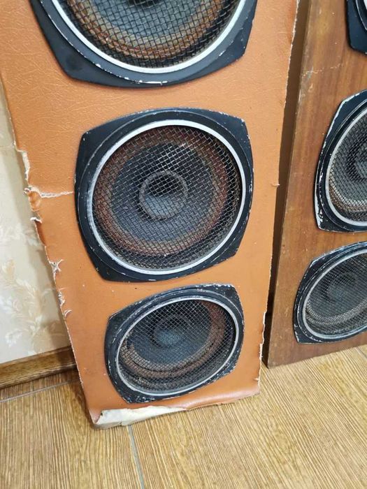 Колонки 25КЗ-12Е динамики 10ГД-36Е аналог 10ГДШ-1