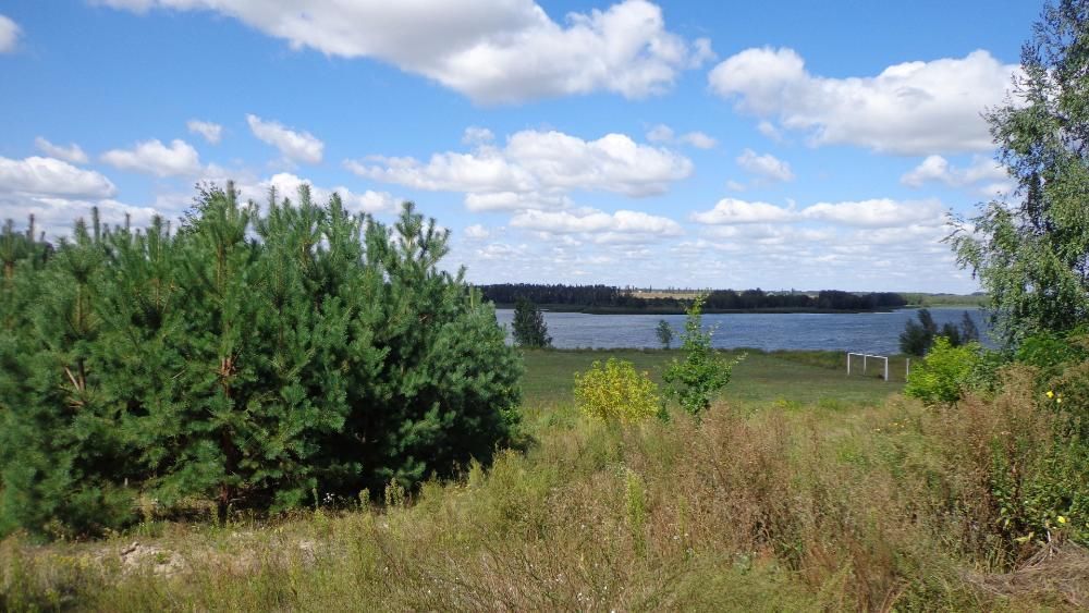 Євідновлення.Продажа дом имение с Маковище 250м+100м гостевой, водохра