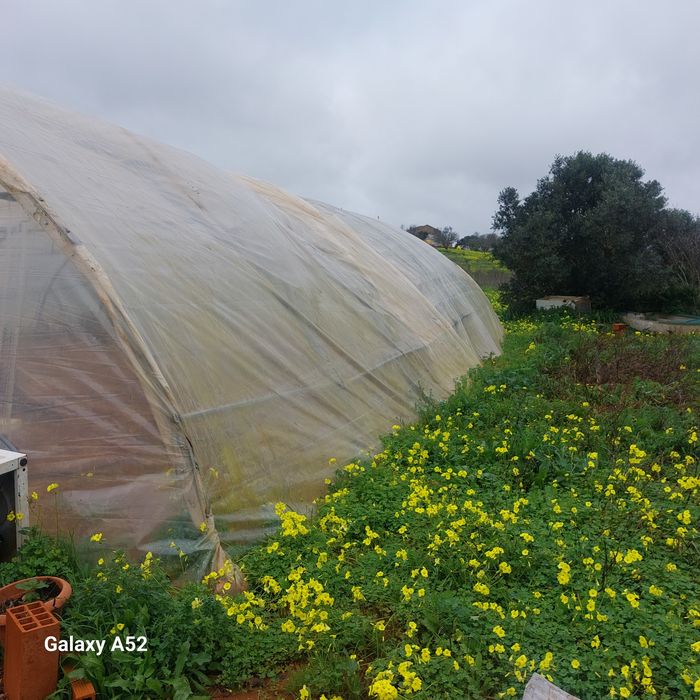 Vendo Estufa Agricola