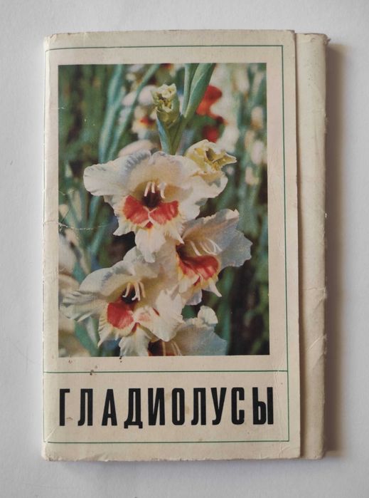 Набор Открыток "Гладиолусы" Комплект 15 шт. Москва 1972 год