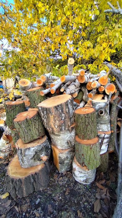 sprzedam drzewo na opał, drzewo opałowe