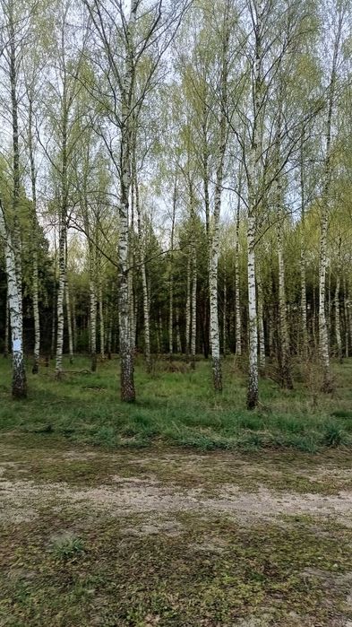Sprzedam działki