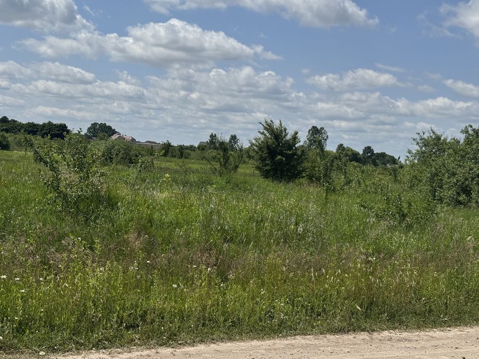 Продаж ділянки під житлове будівництво с.Ставчани