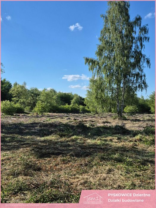 DZIERŻNO Działki budowlane - Widok 3