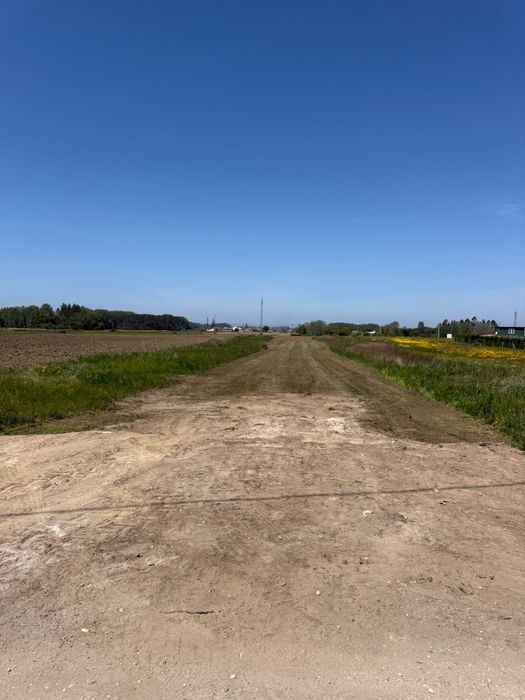 Terreno rustico Ílhavo (Carvalheira) — Ílhavo (São Salvador), Aveiro