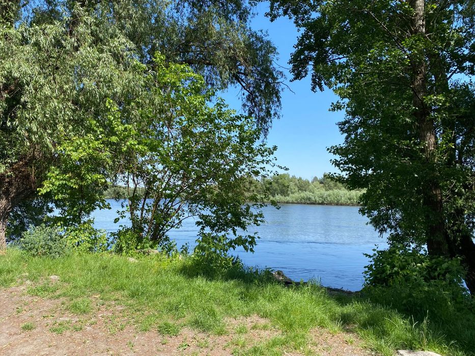 Продам ділянку 10 соток в Пірнове з лісом біля річки