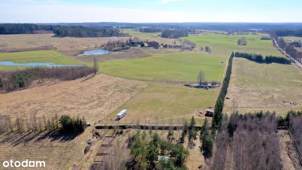 Działka bud. Pieczarki gm Pozezdrze - Więcej