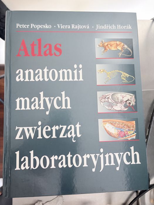 Atlas Anatomii małych zwierząt labolatoryjnych