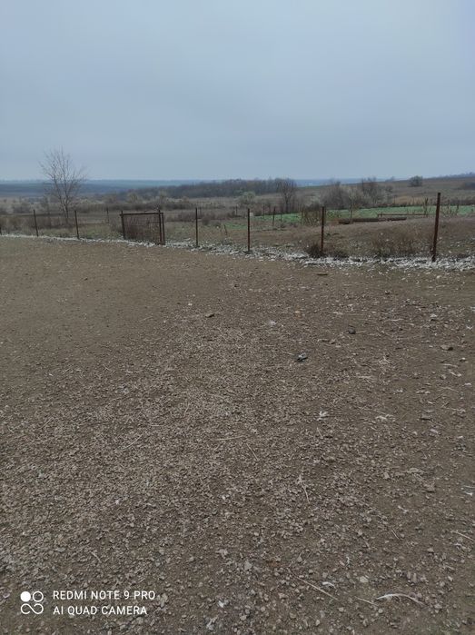 Продам ферму, птичник, телятник в Солонянском районе Днепр