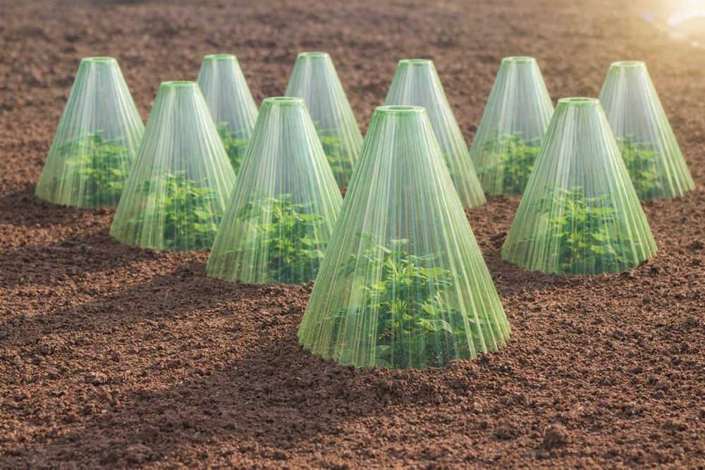 Індивідуальні міні-теплиці, конусні парники для саду та городу (10 шт)