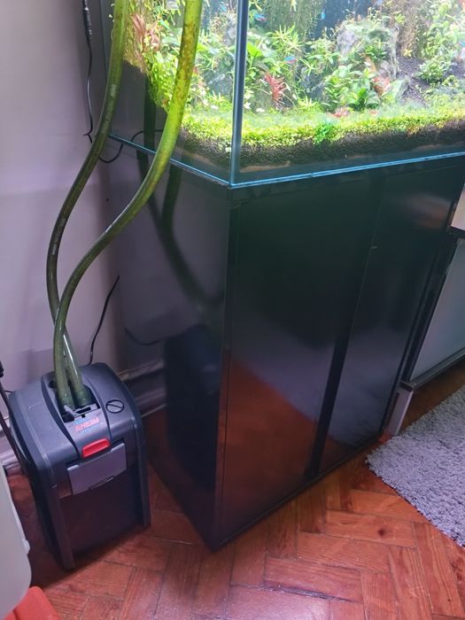 Aquário 160 litros como novo sem um único risco tem um ano, completo.