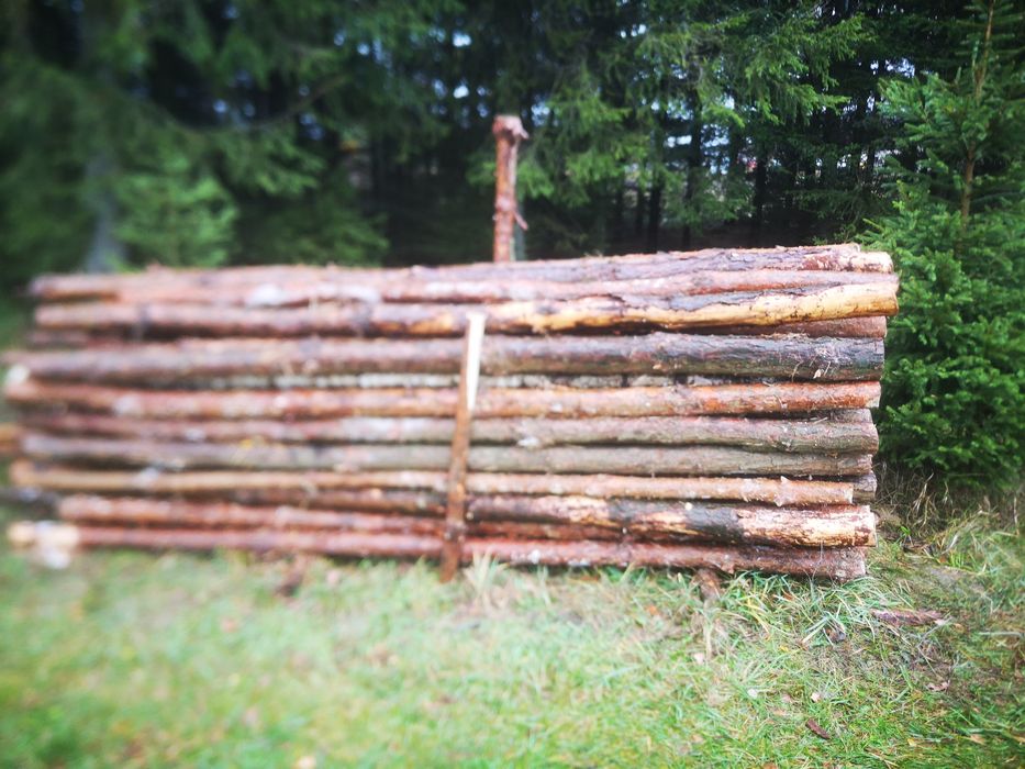 Solidne stemple budowlane sosnowe i dębowe 300cm, dostępne też dłuższe
