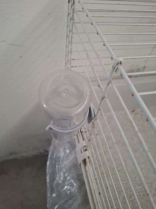 Gaiola para três porquinhos da índia