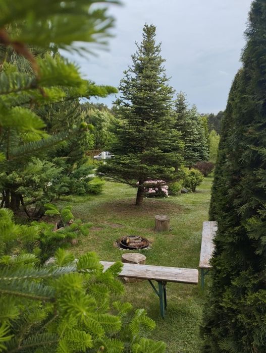 Domek przy lesie Roztocze na wyłączność z dala od sąsi