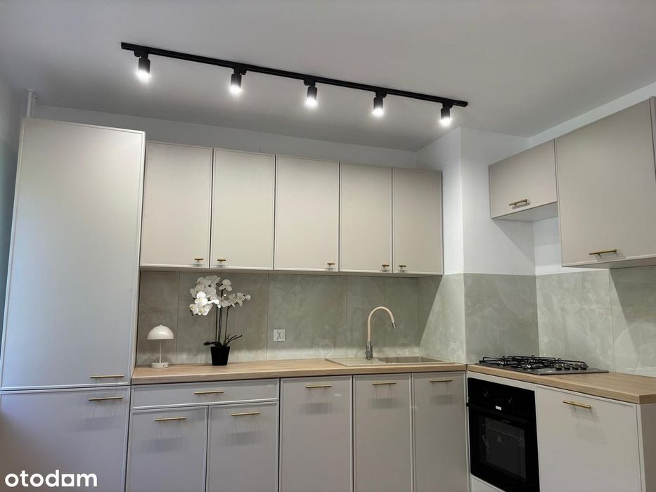 3 pok. Heweliusza, 1 pietro, balkon, po generalnym remoncie - Widok 4