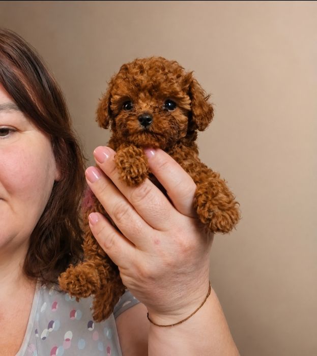 Дівчинка ексклюзив!!!