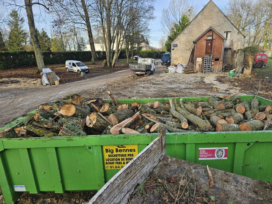 Corte e Abate de Árvores – Serviço Profissional