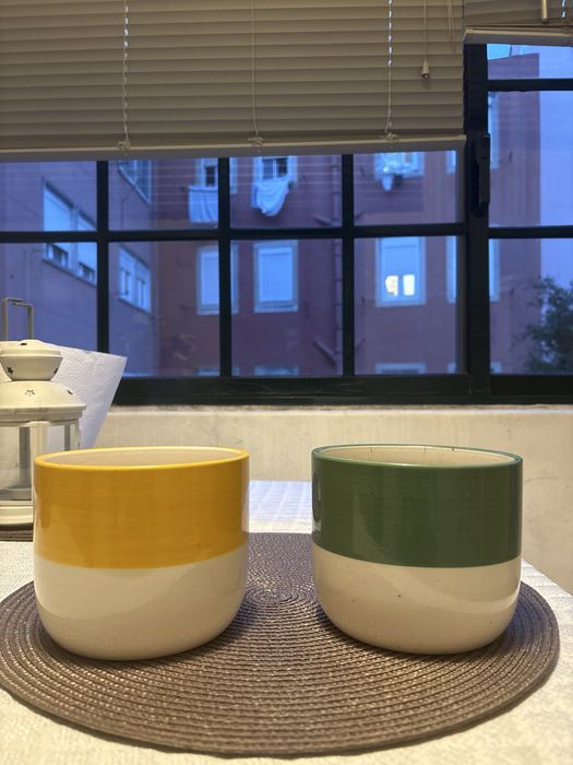 Plantas procuram novo lar - 3/5€ cada