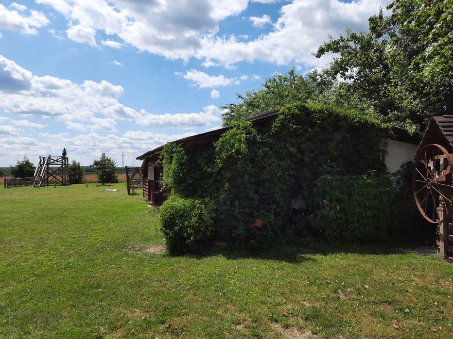 Motel dla małych psów – Urszulin, otulina Poleskiego Parku Narodowego