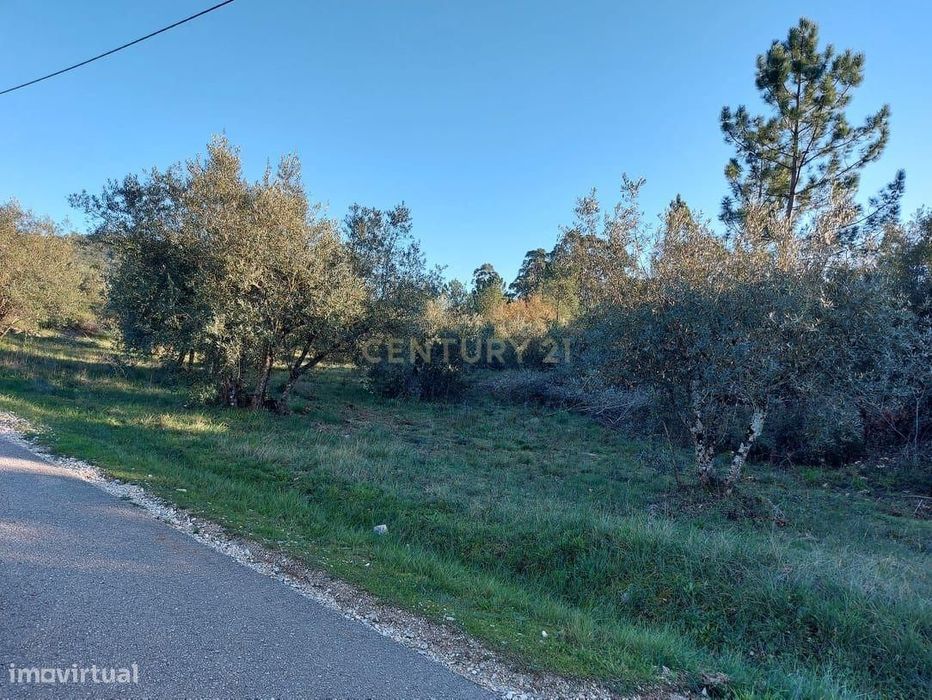 Terreno Redinha || Redinha || Pombal