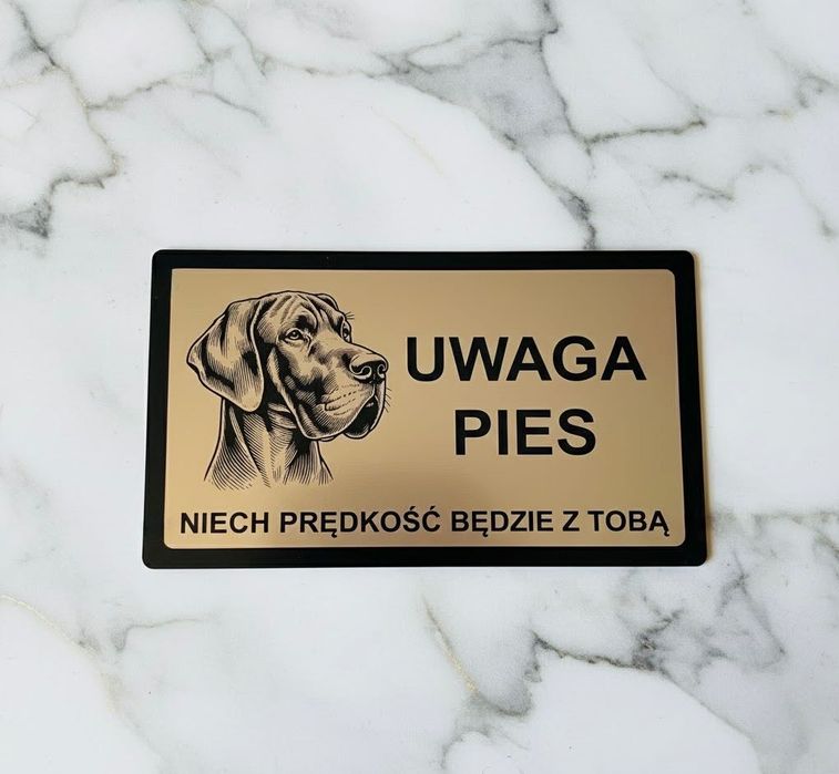 Tabliczka uwaga pies
