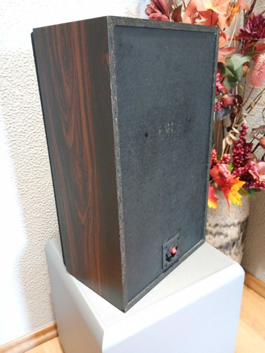 Kolumny Pioneer CS-161