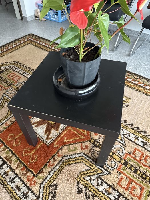 2 mesas de centro em madeira preta