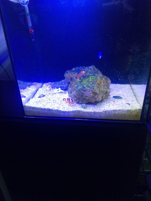 Nano de 60 litros