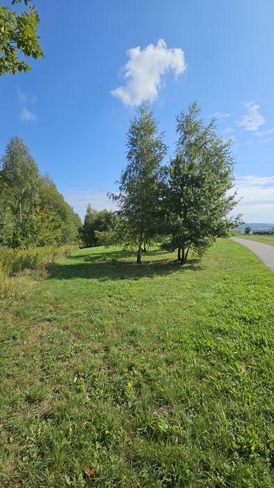 Działka widokowa Pstrągowa 24 ary z WZ - Widok 5