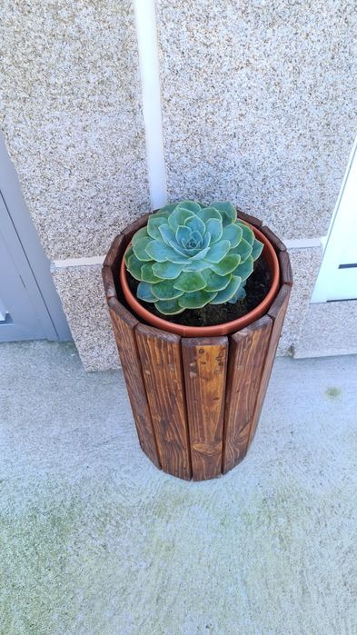 Vasos e canteiro de jardim / Decoração