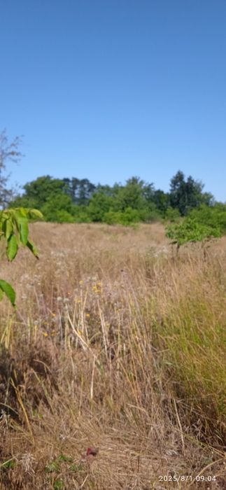 Будинок смтМаньківка Уманський,(0.5 га) загальна площа земельної ділян
