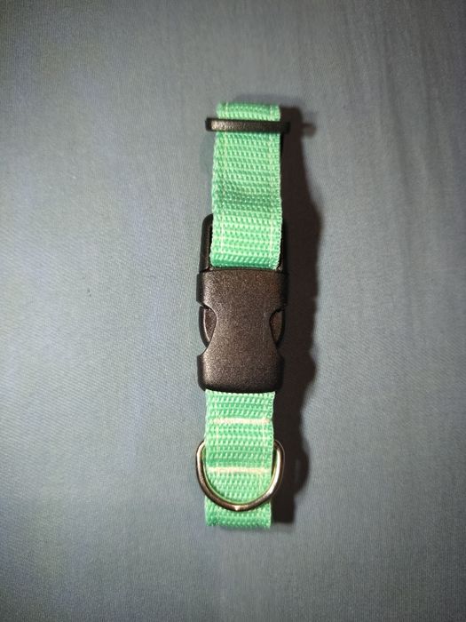 Obroża dla małego psa