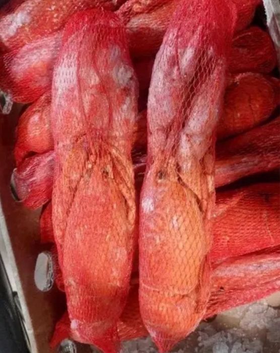 Продам  лобстеров.