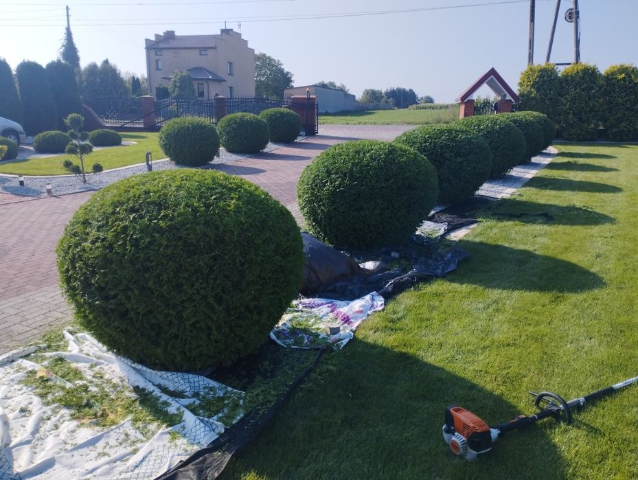 Zakładanie ogrodów/pielęgnacja ogrodów/nawodnienie