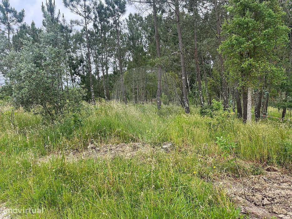 Terreno  para venda
