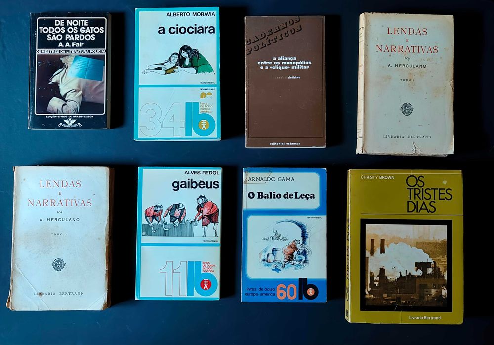 Lote de 48 livros de autores variados, por apenas 70€!