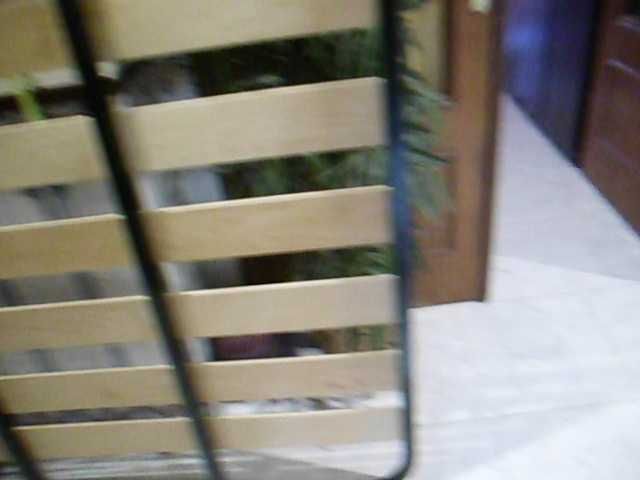 estrado metalico