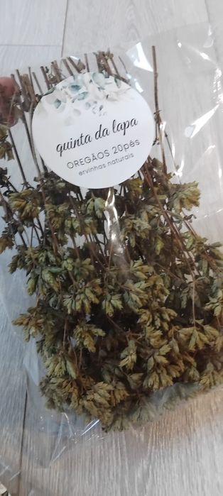 Ervas aromaticas - alfazema - louro - oregãos
