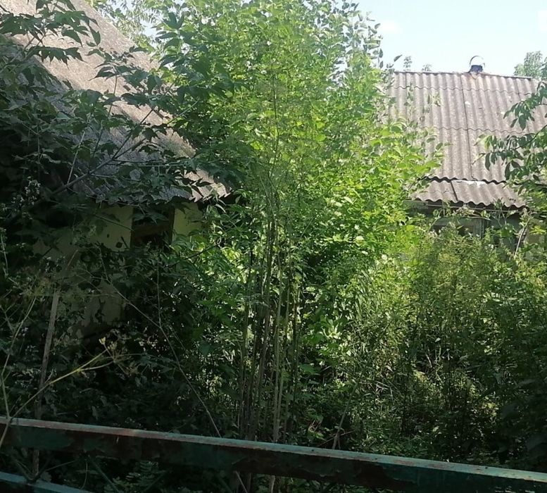 Продам ділянку в селі Гавришівка по вулиці Незалежності(Ленина Леніна)