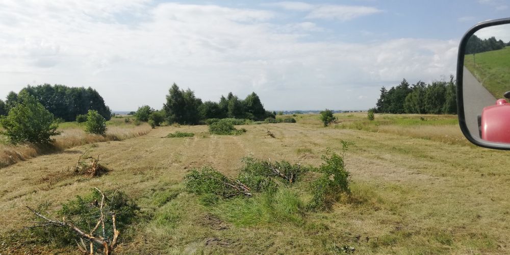 Koszenie mulczerem, rozbiórki budynków, czyszczenie działek