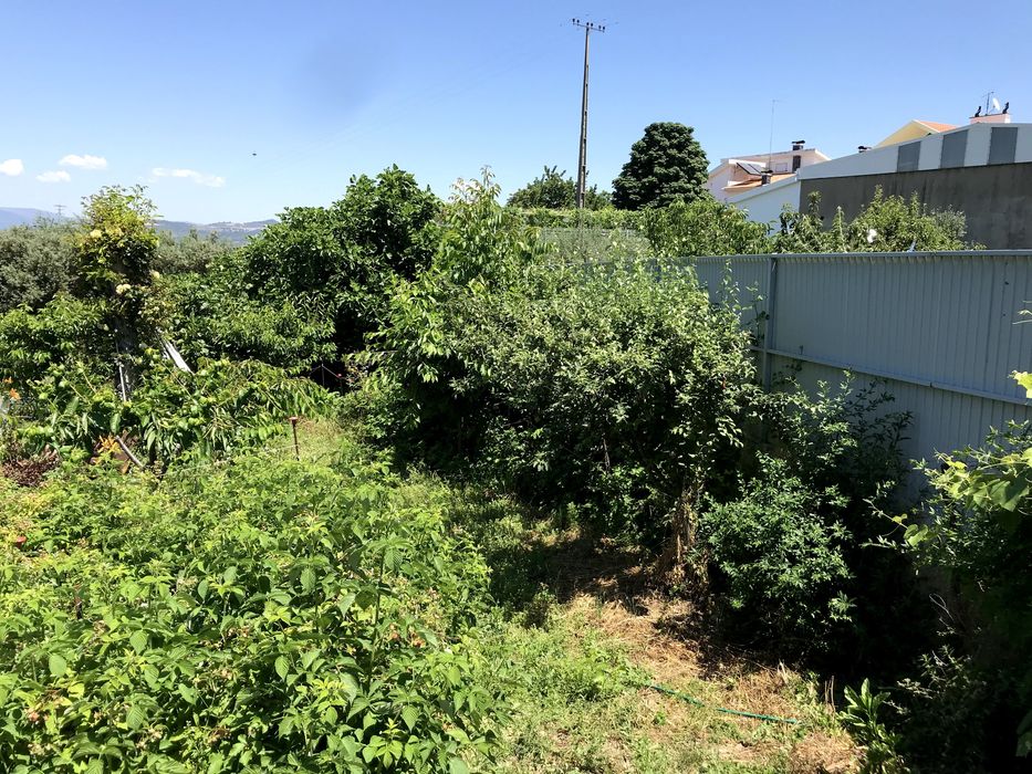 Lote para construção ou quintinha dentro da cidade - 2100m2