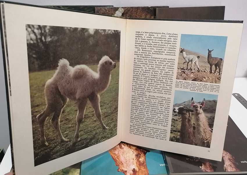Enciclopédia do Reino Animal (8 volumes + caixa). 1967
