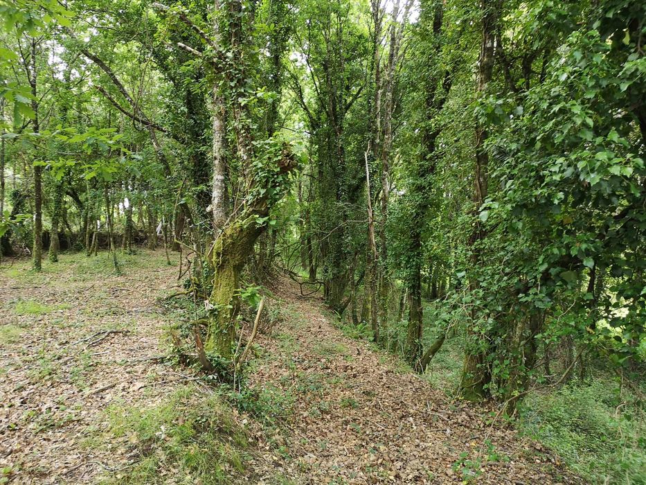 Terreno rústico junto à ecovia do Vez 4.000 m2