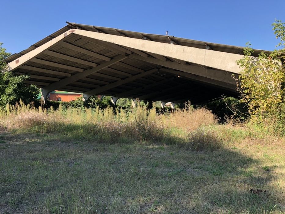 Клюшечник, зерносклад, ферма.