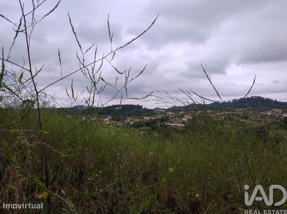 Terreno para construção em Colmeias e Memória de 116,00 m2