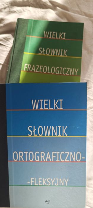 Wielki słownik frazeologiczny i ortograficzno-fleksyjny