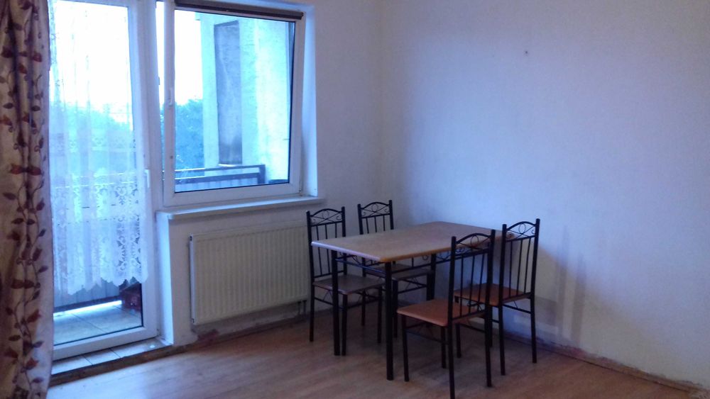 Bezpośr., bez wymagań, Dzieci+LGBT+zwierzęta, розмовляємо українською